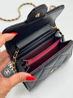 Chanel Mini Flap wallet on chain